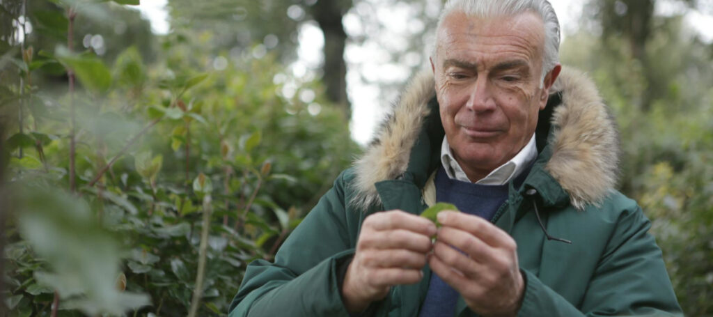 Klimawandel als Chance – persönliches Wachstum statt Angst